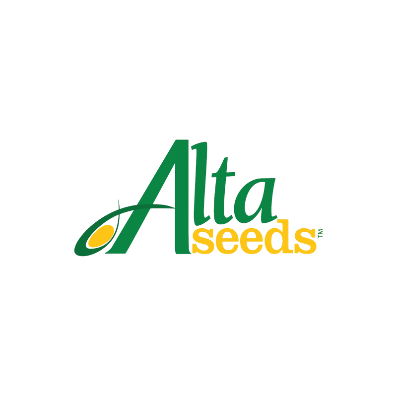 Alta-Seeds PARADISO.AE