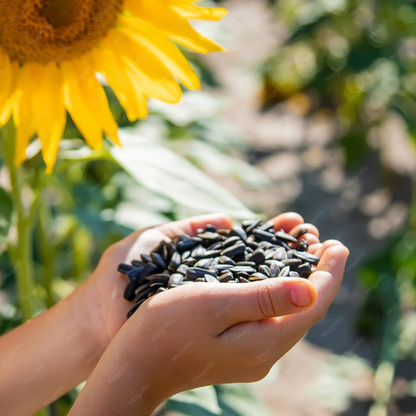 Organic Seeds