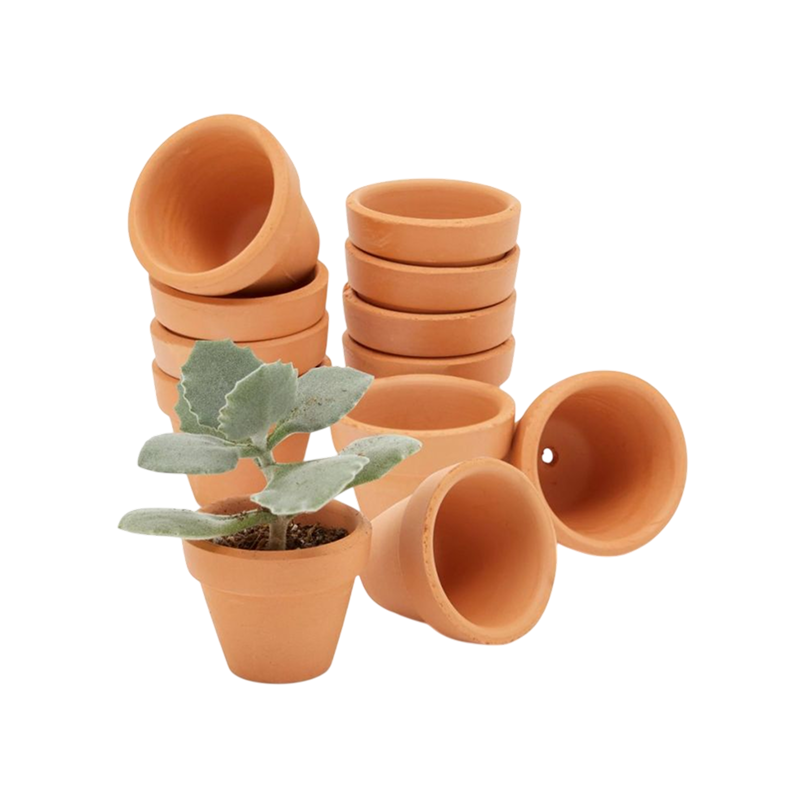 Pots & Planter