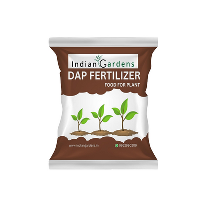 Soil & Fertilizer