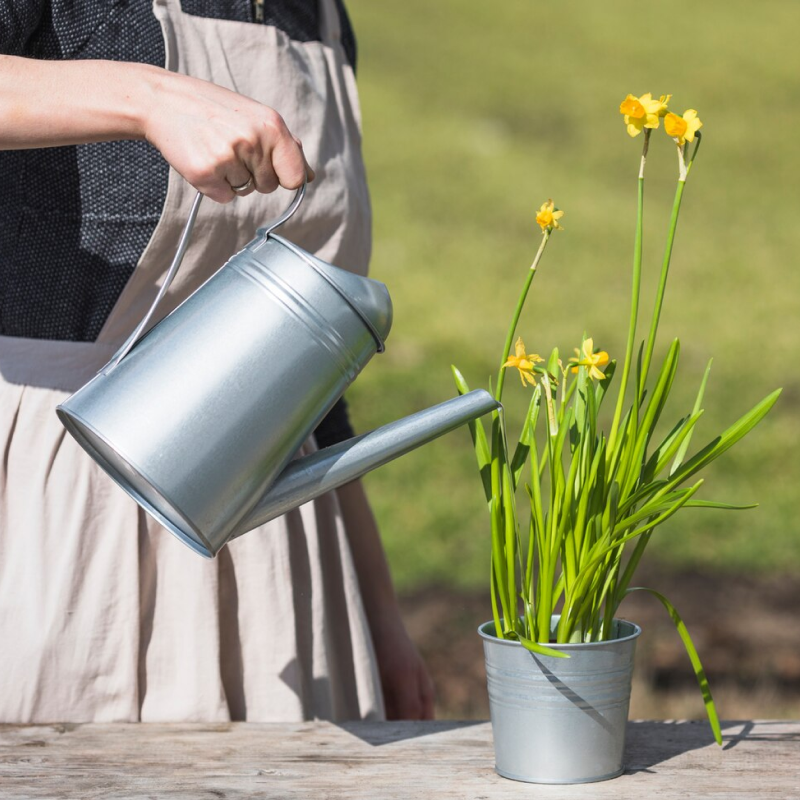 Watering Acc.